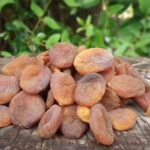 GÜNKURUSU KAYISI / 1 KG